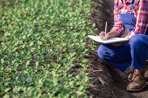 Formazione-settore-agroalimentare_FMTSformazione