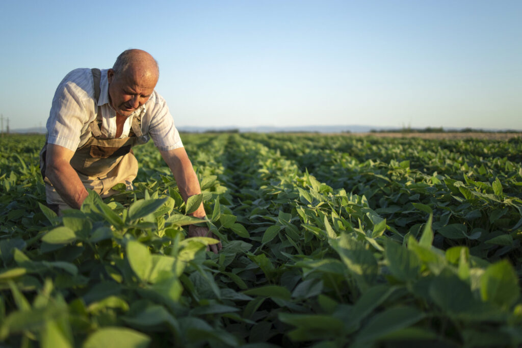 ForAgri-fondo-interprofessionale-agricoltura